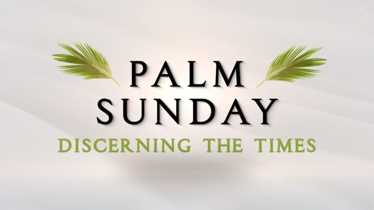 Palm Sunday, discerning the times