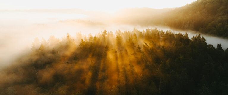 Enlightenment of the Ages